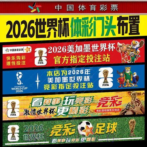 世界杯投注比例的精准计算方法